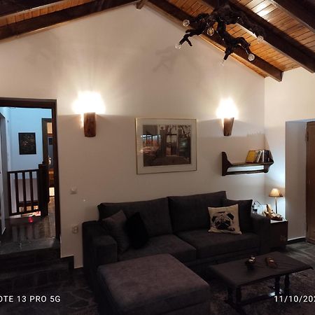 فيلا Litheon House Synikia Mesi Trikalon المظهر الخارجي الصورة