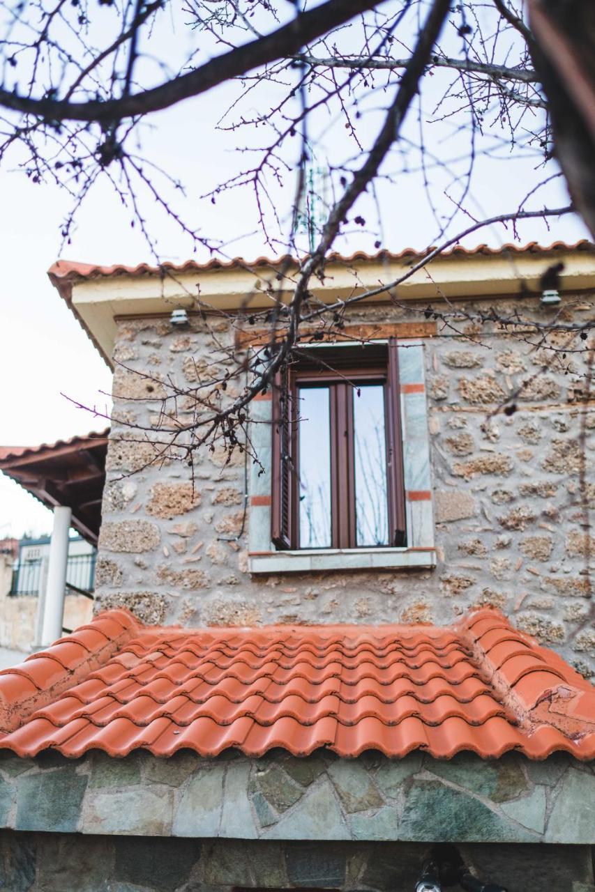 فيلا Litheon House Synikia Mesi Trikalon المظهر الخارجي الصورة