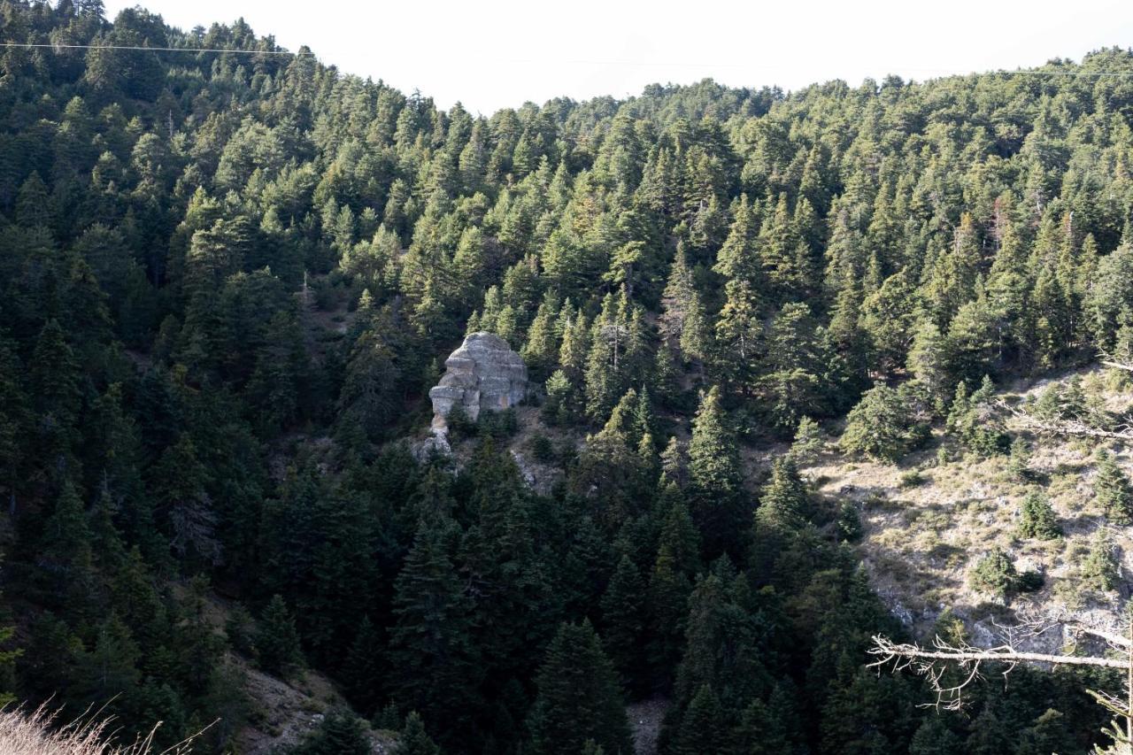 فيلا Litheon House Synikia Mesi Trikalon المظهر الخارجي الصورة
