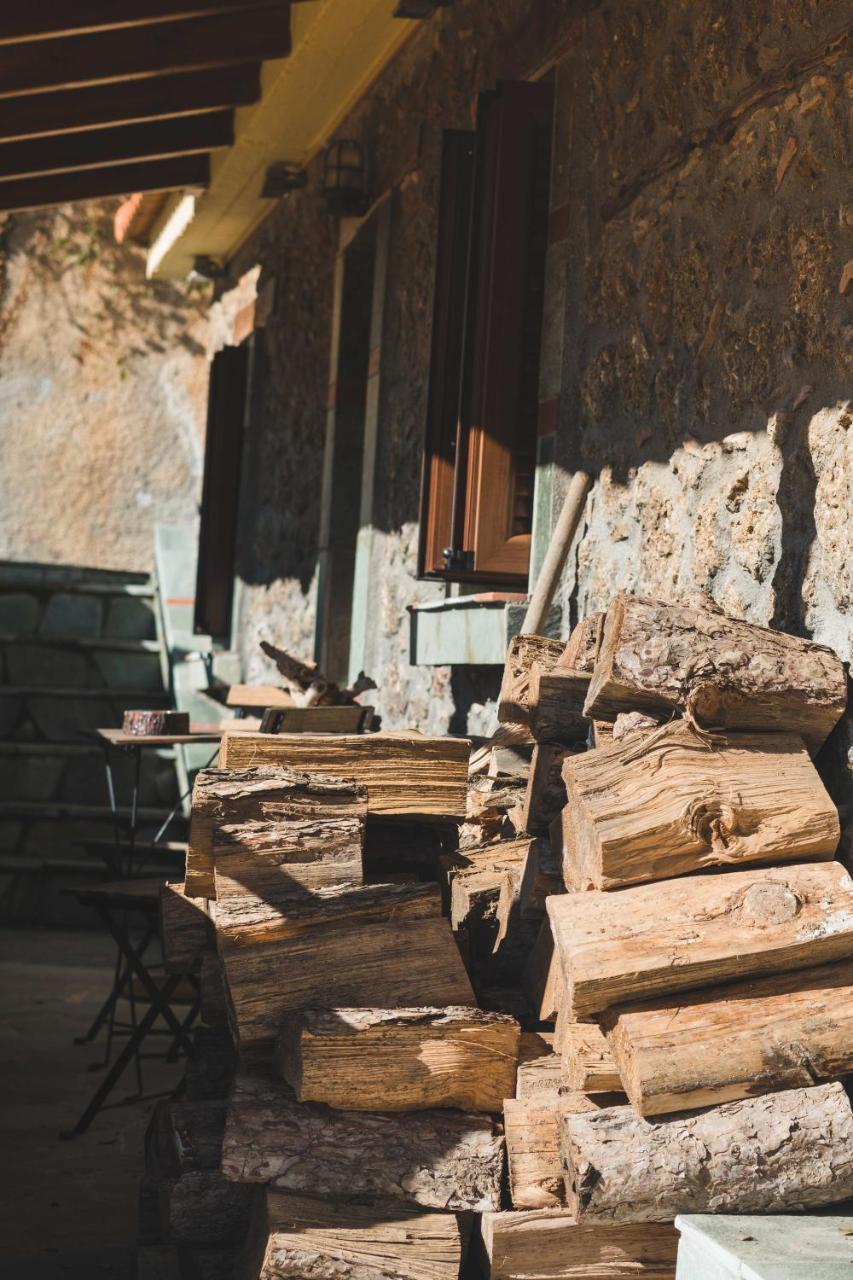 فيلا Litheon House Synikia Mesi Trikalon المظهر الخارجي الصورة